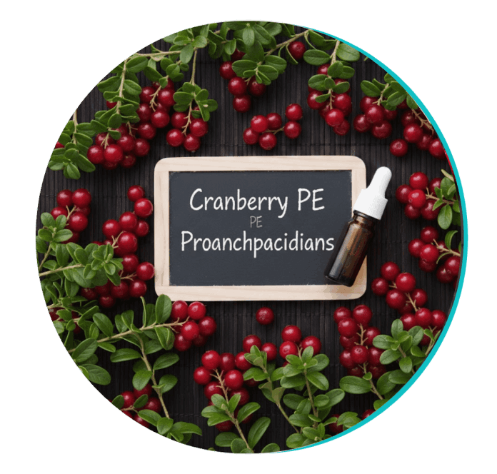 Biodentex Ingredients 6